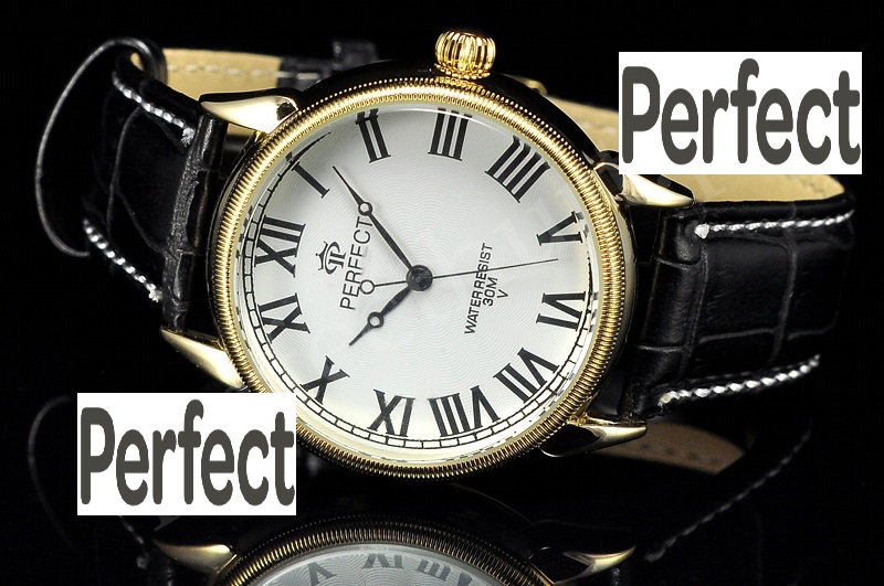 PERFECT - MODEL 1