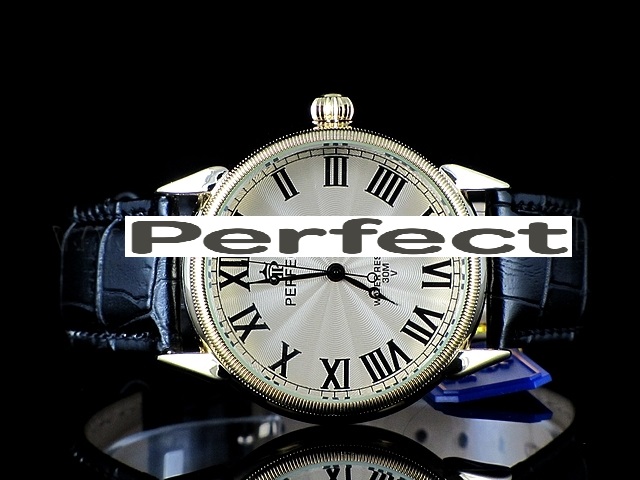 PERFECT - MODEL 2